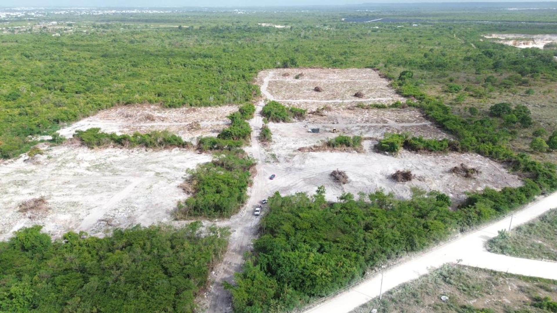 Los Robles